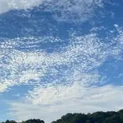 あおぞらにじの画像