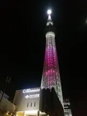 黒の画像