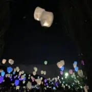 ❤︎プロフ必読願います❤︎の画像