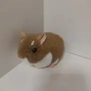 oyukiの画像