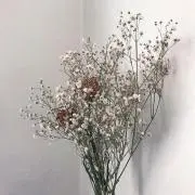rxxa♡