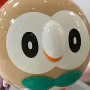 ふみ2の画像