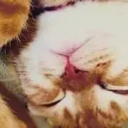 Yumiの画像