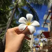 chu-canceの画像