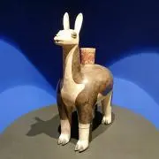 kokiaの画像