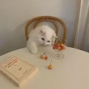 神保の画像