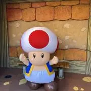 ニニの画像