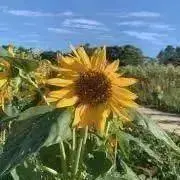 h☺︎の画像