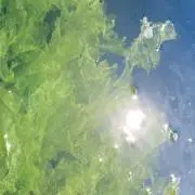 森田の画像