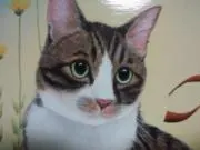 tamamaの画像