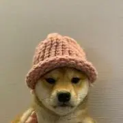 ちくわ