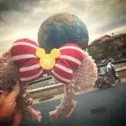 たまの画像