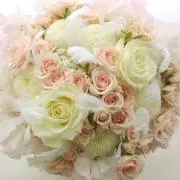 rose5mama