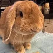 かずちんの画像