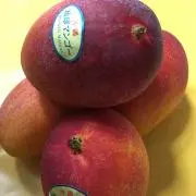 みさの画像