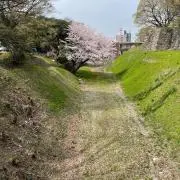 Uの画像