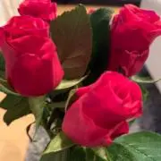 roseの画像