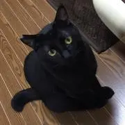 ハル⭐︎