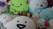 きぃの画像