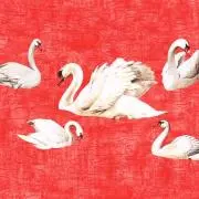 うさみの画像