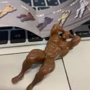 整理整頓の画像