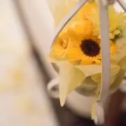 プロフ必須⚠️⚠️ sun flowerの画像