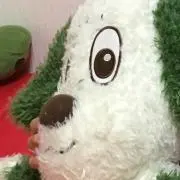 探！わん2ワンダーランド岡山チケット