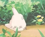 よっちもの画像