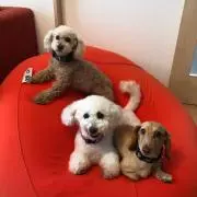 りまま