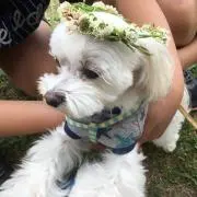 はる♡の画像