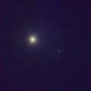 鴉の画像