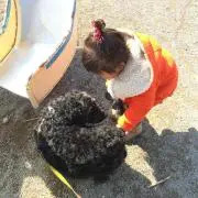 a---inの画像