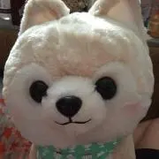 チェリー