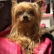 なるせ プロフご確認お願いします