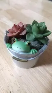 えだまめの画像