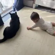 がーな