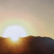 Robinの画像
