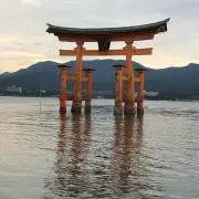 キララ「プロフ必読」の画像