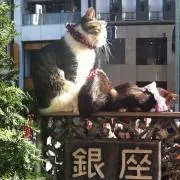 権家