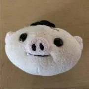 ☆tomaton☆ プロフも見てね！の画像