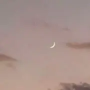 sgの画像