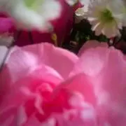 ま