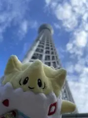 ぷくの画像