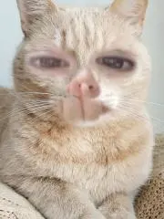 あかぎれの画像