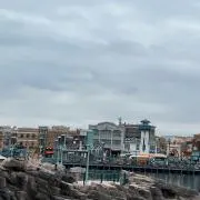 かりみの画像