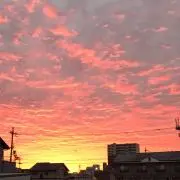 ボリ　ボリ太の画像