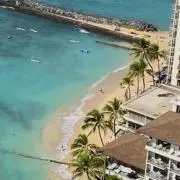 もちの画像
