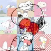 コッコー