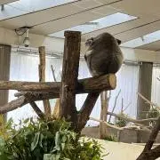 即購入OK☆ねるみの画像