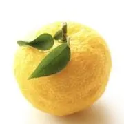 ゆずの画像